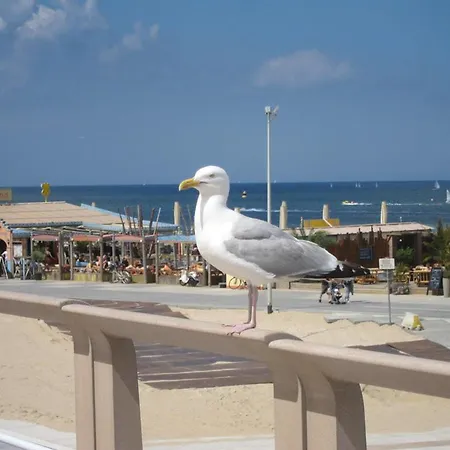 Holiday Rosuro Beach House Vakantiehuis